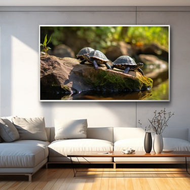 Tortoise Painting Image